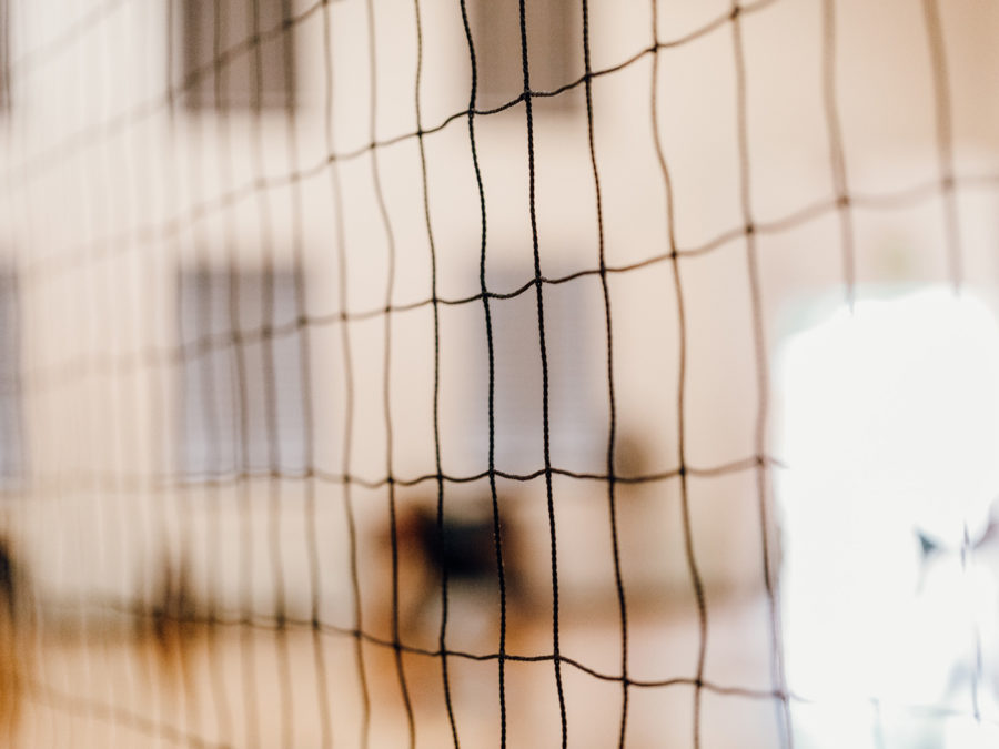 Core Volleyball Hawaii Lifted Creative Studio